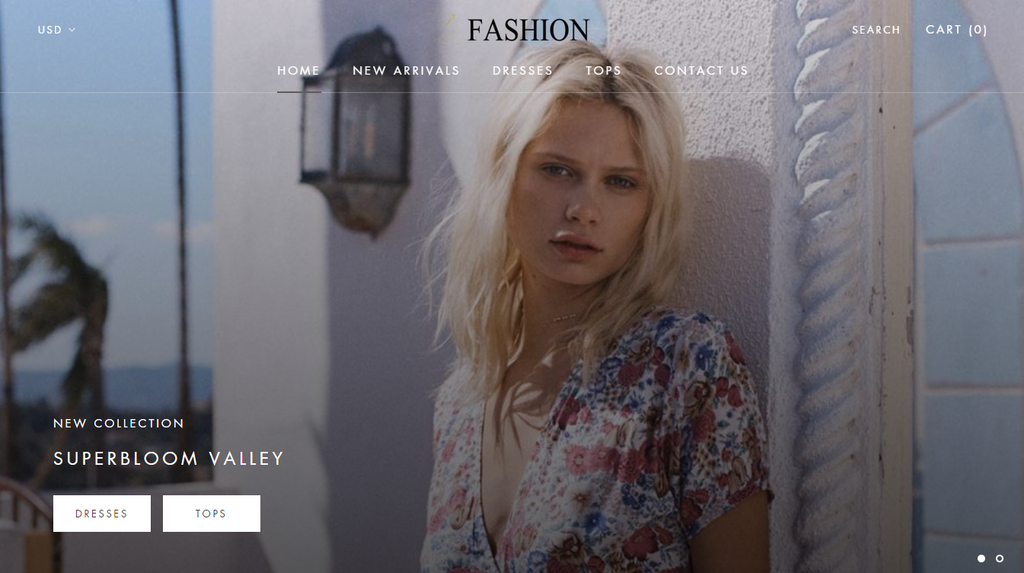 Fashion Website 2